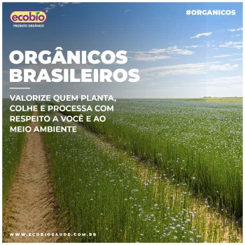 Orgânicos Brasileiros
